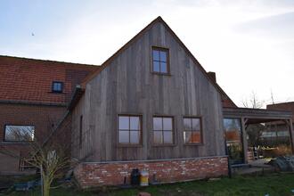Afromosia ramen