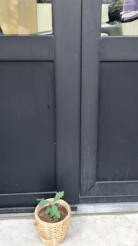 Verbleekte aluminium ramen behandelen